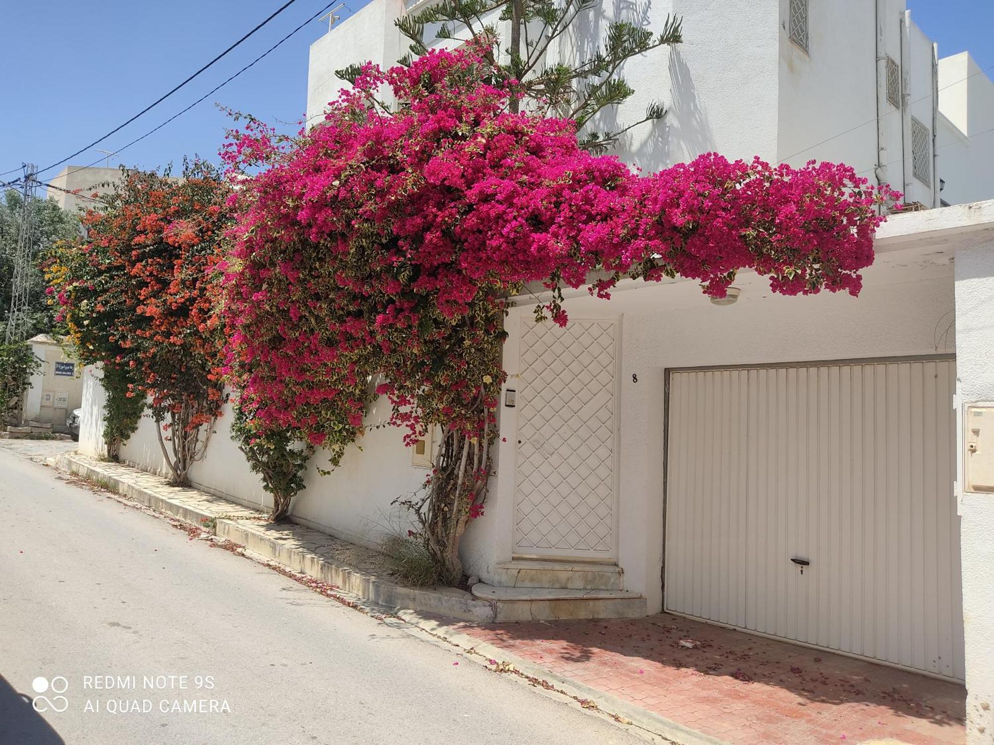 Etage De Villa Avec Jardin, Pres De L'Aireport Et Parking Prive Ariana Exterior foto